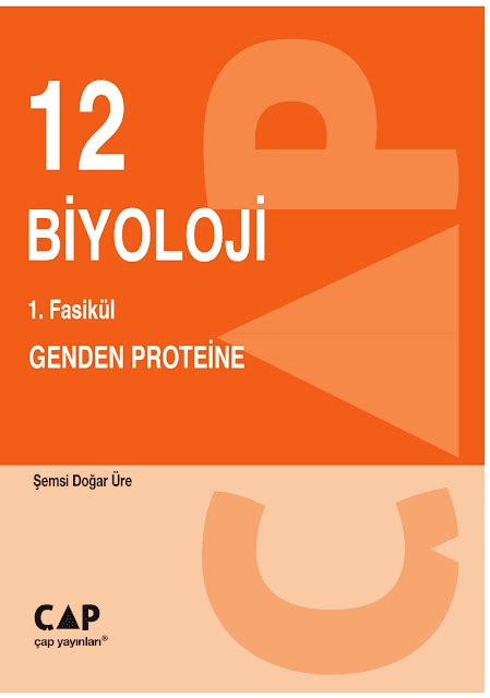 biyoloji 12 sınıf genden proteine